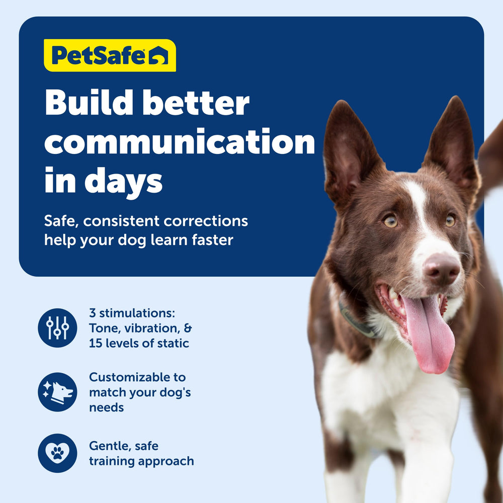 PetSafe collar impermeable para días de juego mojado.