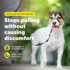 PetSafe Gentle Leader con ajuste rápido en la nariz para colocación fácil