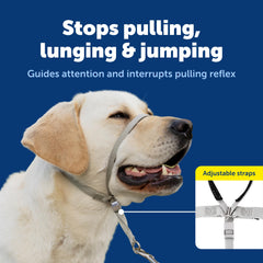 PetSafe Gentle Leader aro nariz ajustable brinda ajuste cómodo durante caminatas.