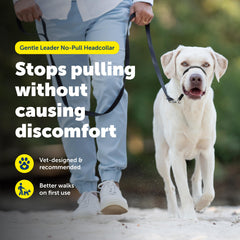 PetSafe Gentle Leader: cierre-cuello-rapido para colocación rápida.