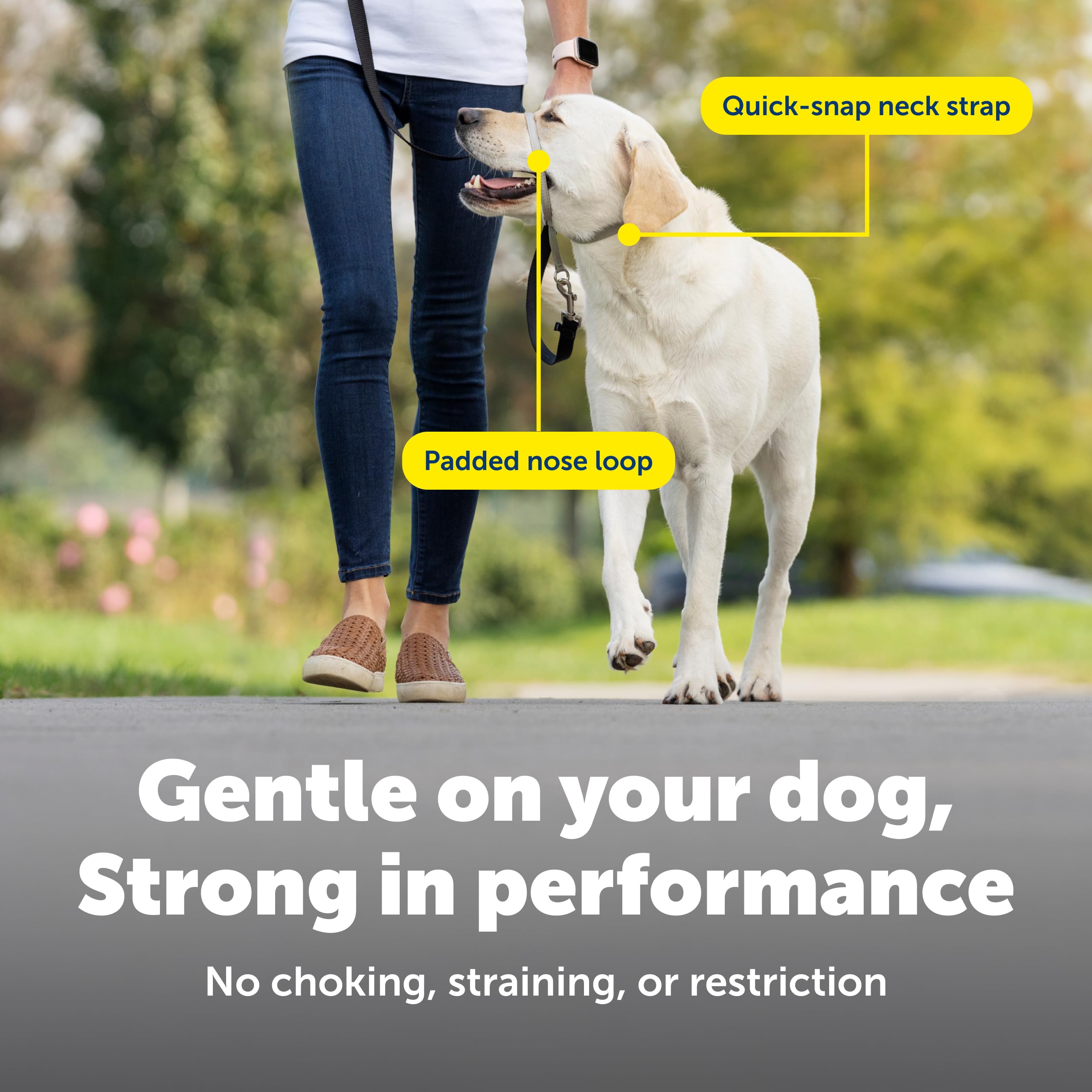 PetSafe Gentle Leader collar diseño minimal para mantener al perro fresco durante caminatas