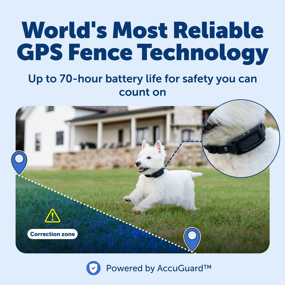 PetSafe Guardian GPS 2.0: configuración inalámbrica rápida, sin cables.