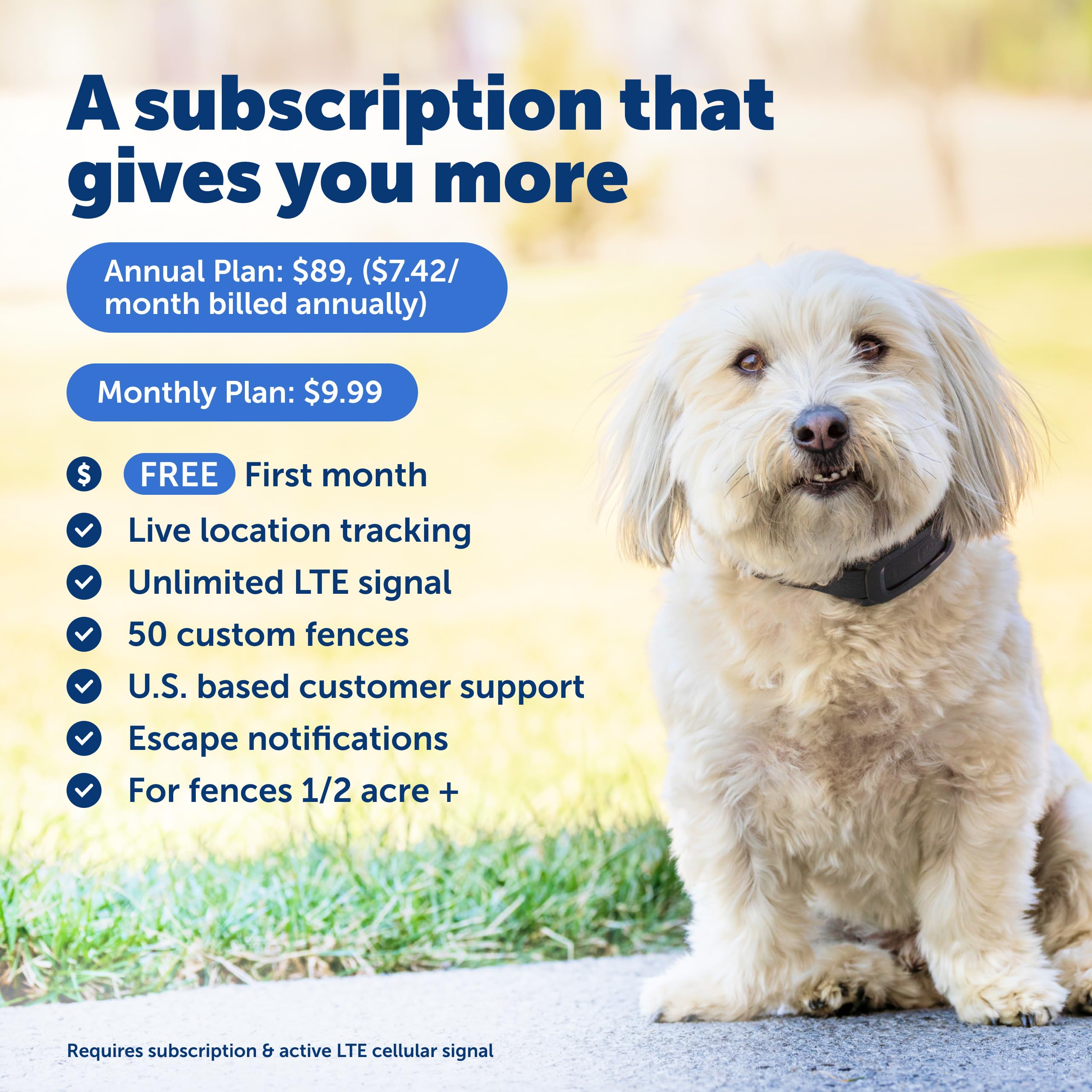 PetSafe Guardian GPS 2.0: rastreo en tiempo real para tranquilidad.