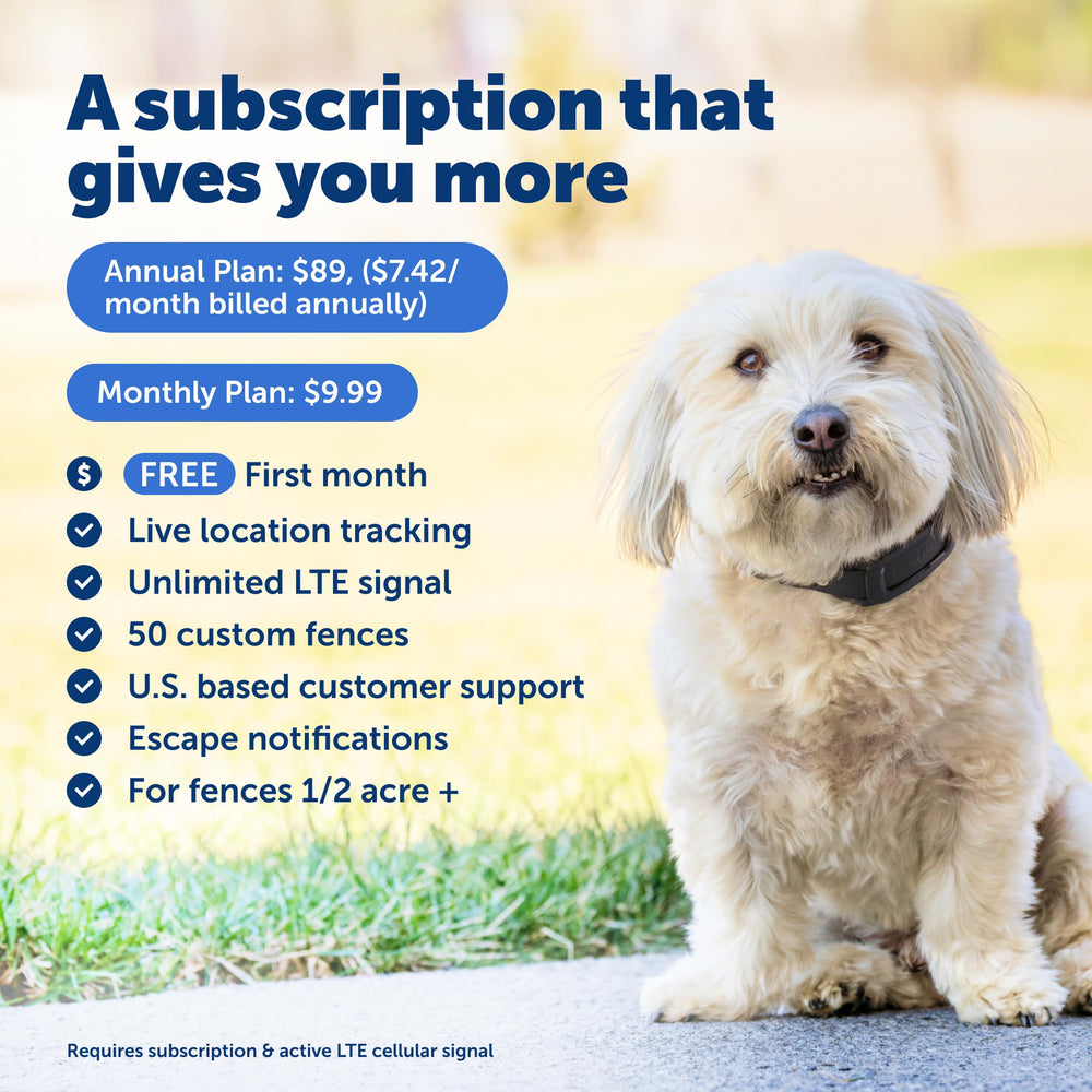 PetSafe Guardian GPS 2.0: rastreo en tiempo real para tranquilidad.