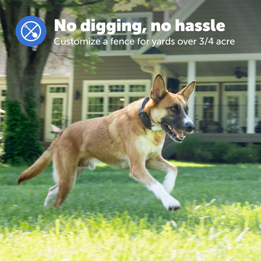 PetSafe Guardian GPS Collar con batería de larga duración para días sin recargas.