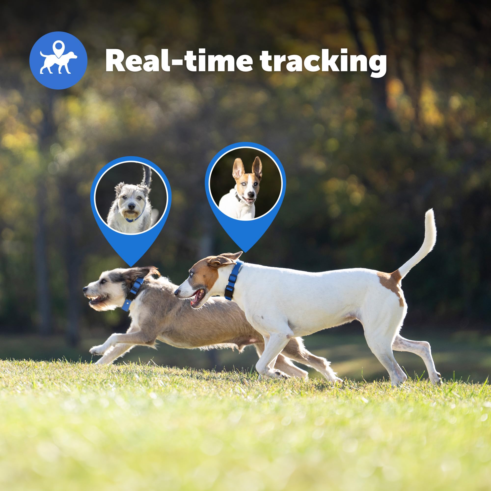 PetSafe Guardian GPS Collar ajuste cómodo para razas de todos tamaños