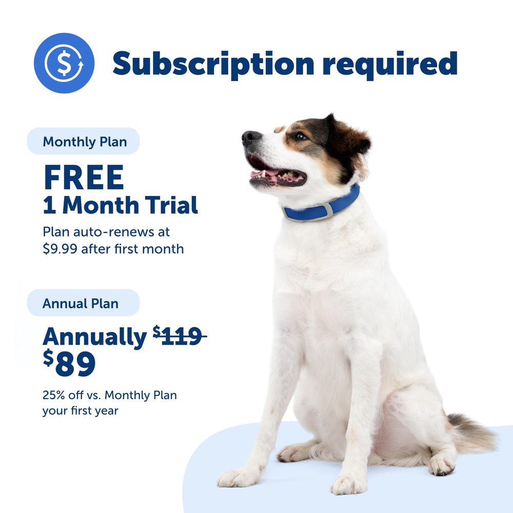 PetSafe Guardian GPS Collar: ajuste cómodo para razas de todos tamaños.