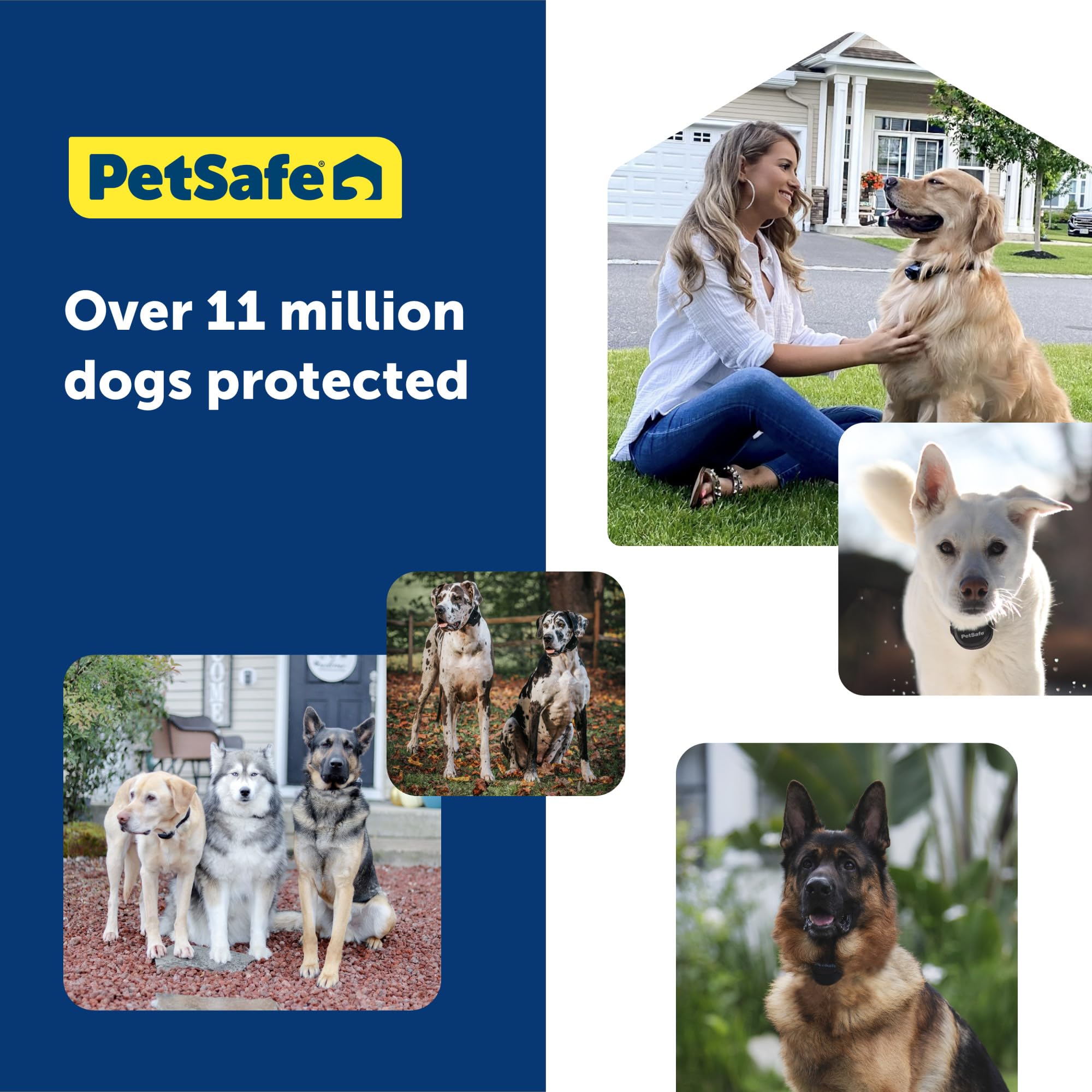 PetSafe Guardian GPS Collar configuración rápida para entrenamientos en cualquier lugar