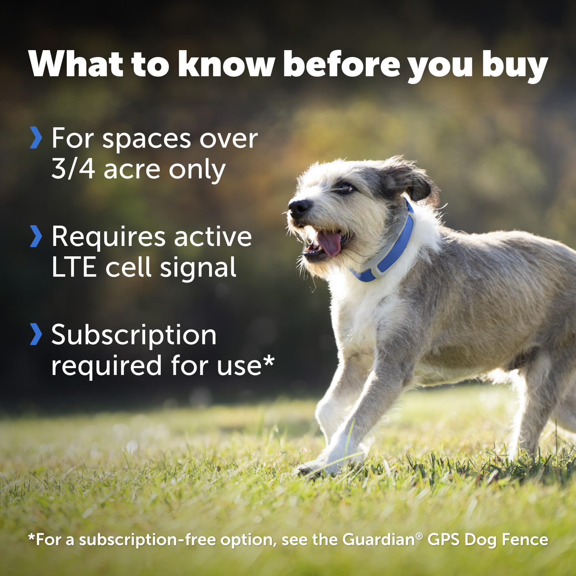 PetSafe Guardian GPS Collar diseño resistente al agua para uso al aire libre