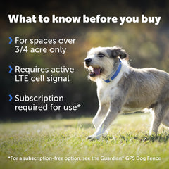 PetSafe Guardian GPS Collar diseño resistente al agua para uso al aire libre