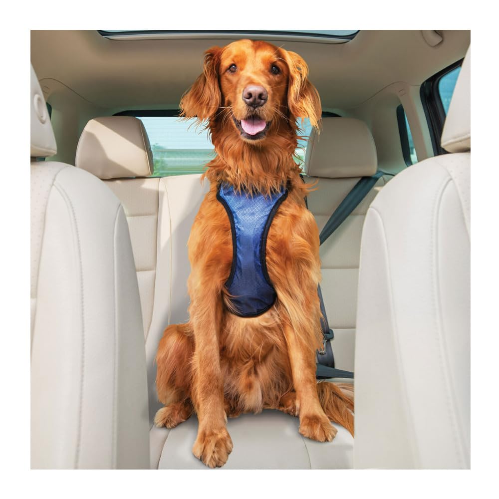 PetSafe Happy Ride gancho de correa para uso práctico
