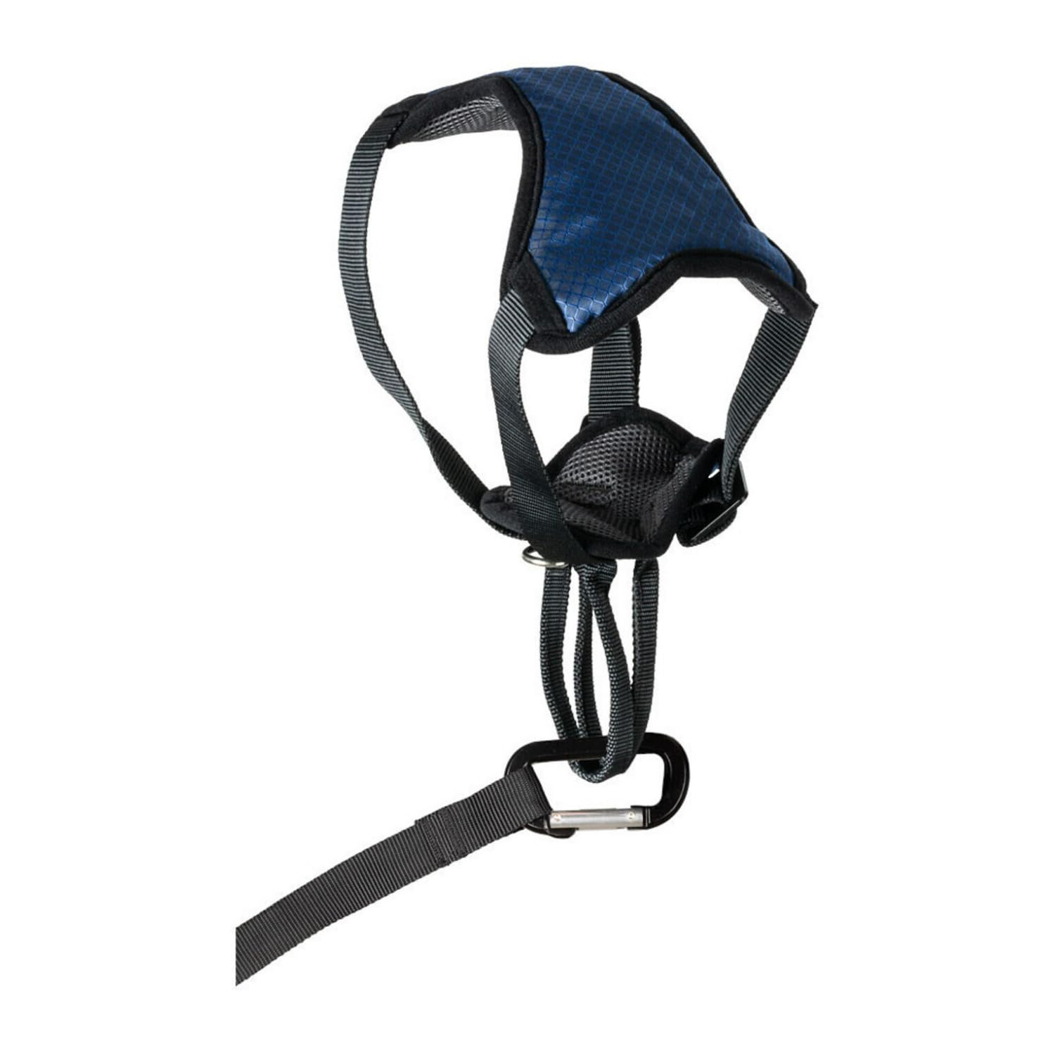 PetSafe Happy Ride perro en coche usando arnés seguro