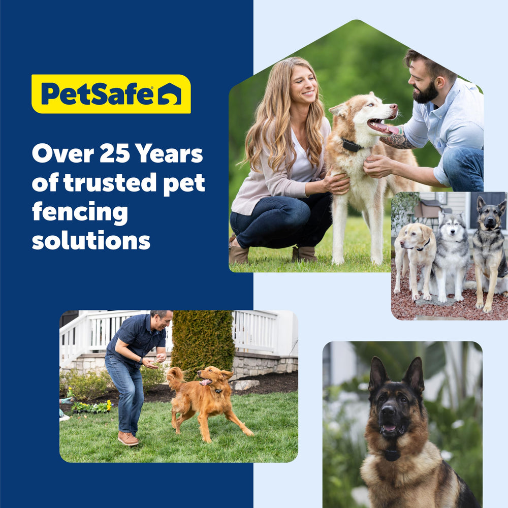 PetSafe indicador de batería del receptor para saber autonomía.