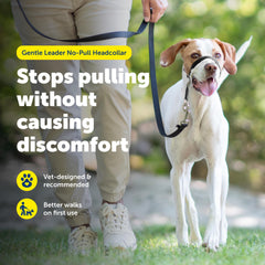 PetSafe Líder Suave: hebilla rápida del cuello para colocación en segundos.