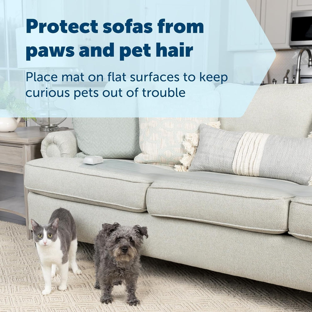 PetSafe ScatMat en el sofá ayuda a preservar muebles sin dañar