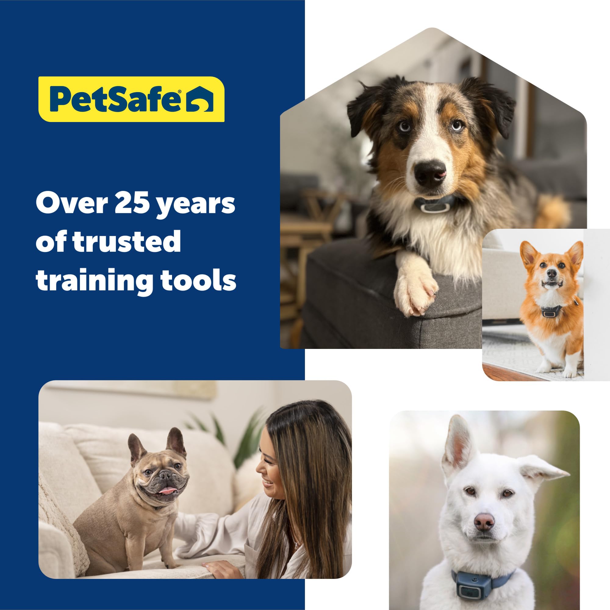 PetSafe sistema de entrenamiento duradero, ideal para aventuras al aire libre.