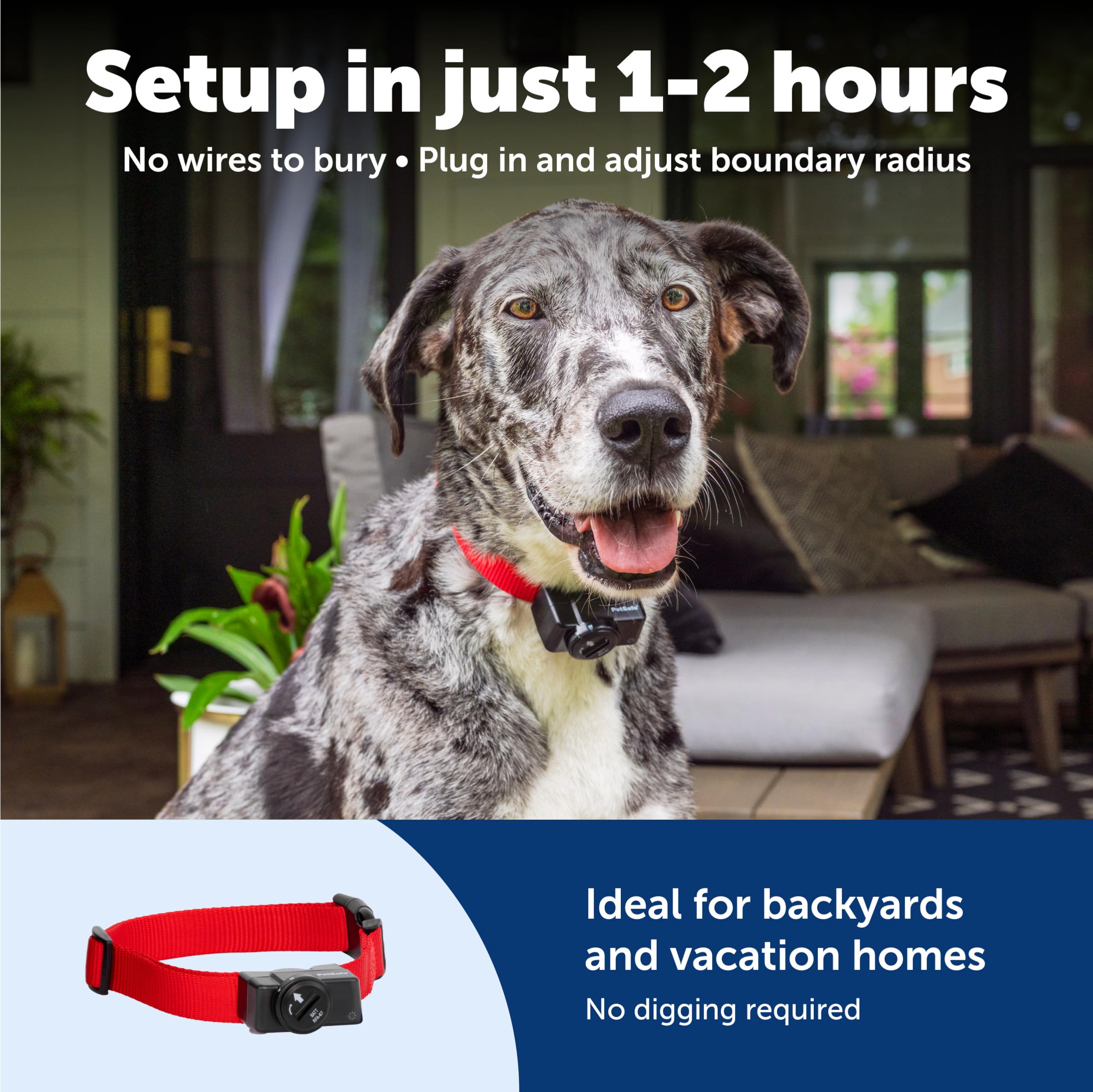 PetSafe sistema para múltiples mascotas con collares adicionales.