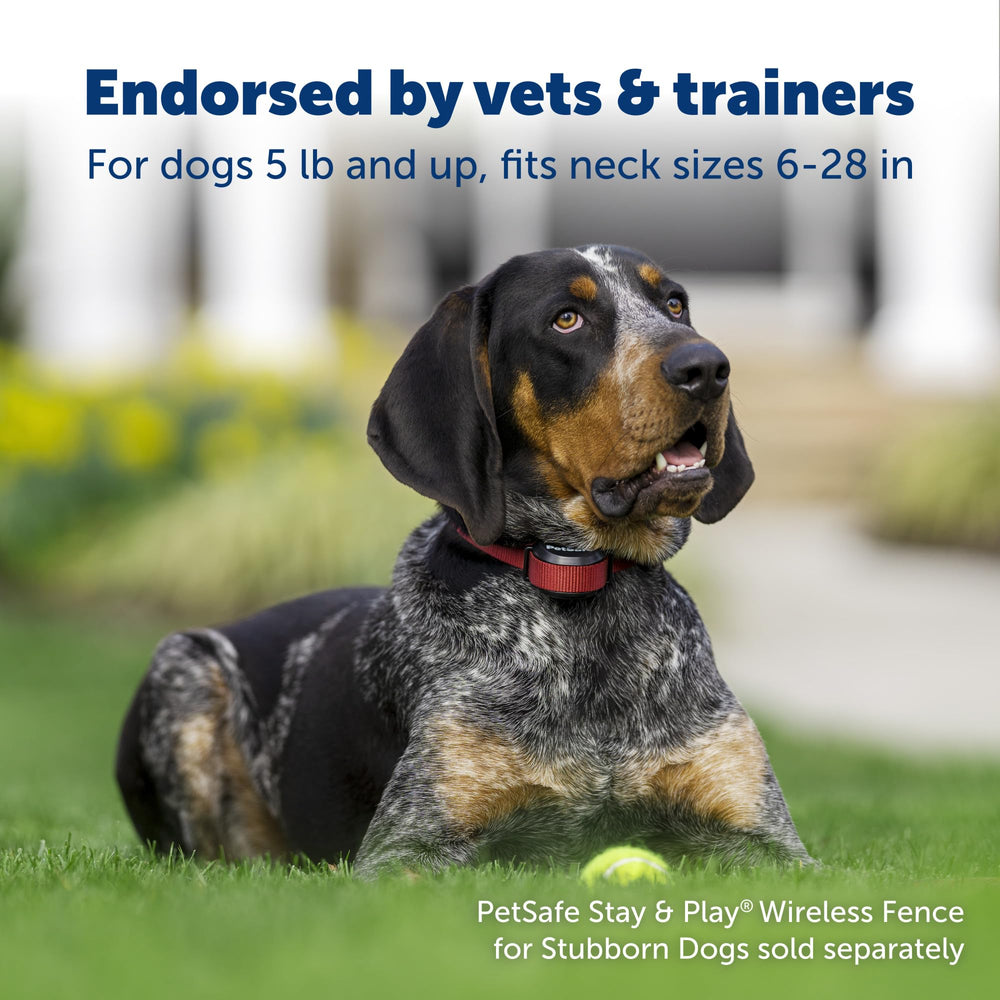 PetSafe Stay & Play: límite inalambrico para entrenamiento en jardín.
