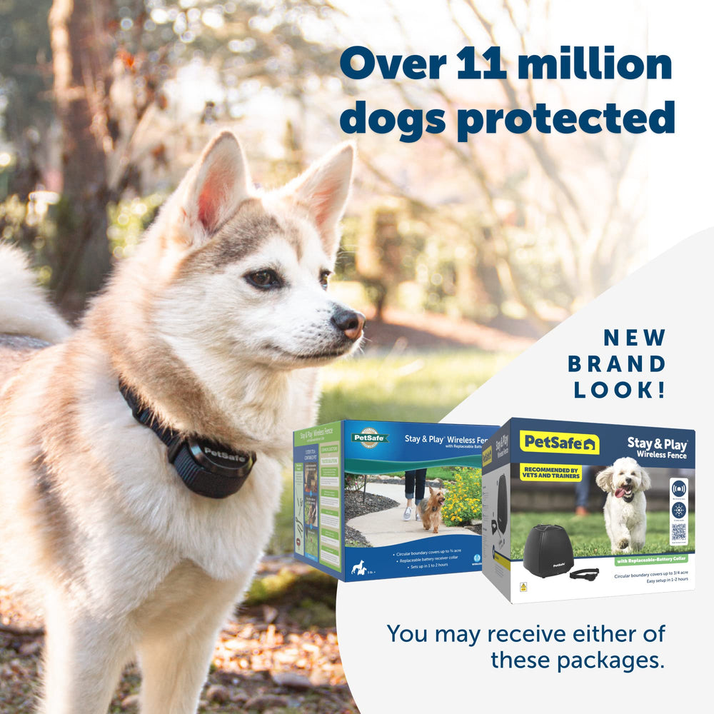 PetSafe Stay & Play sistema multi-perros para varios perros en un solo jardín