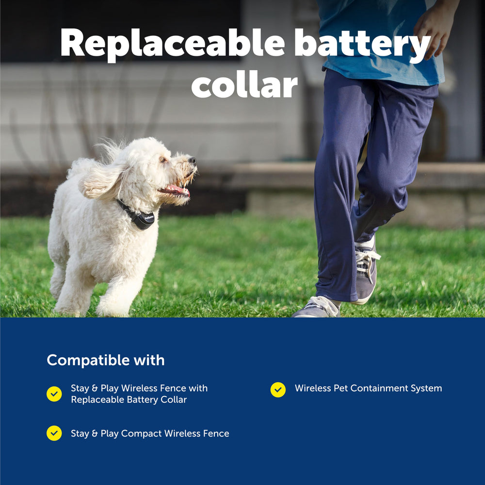 Soporte para múltiples mascotas, ideal para hogares con varios perros