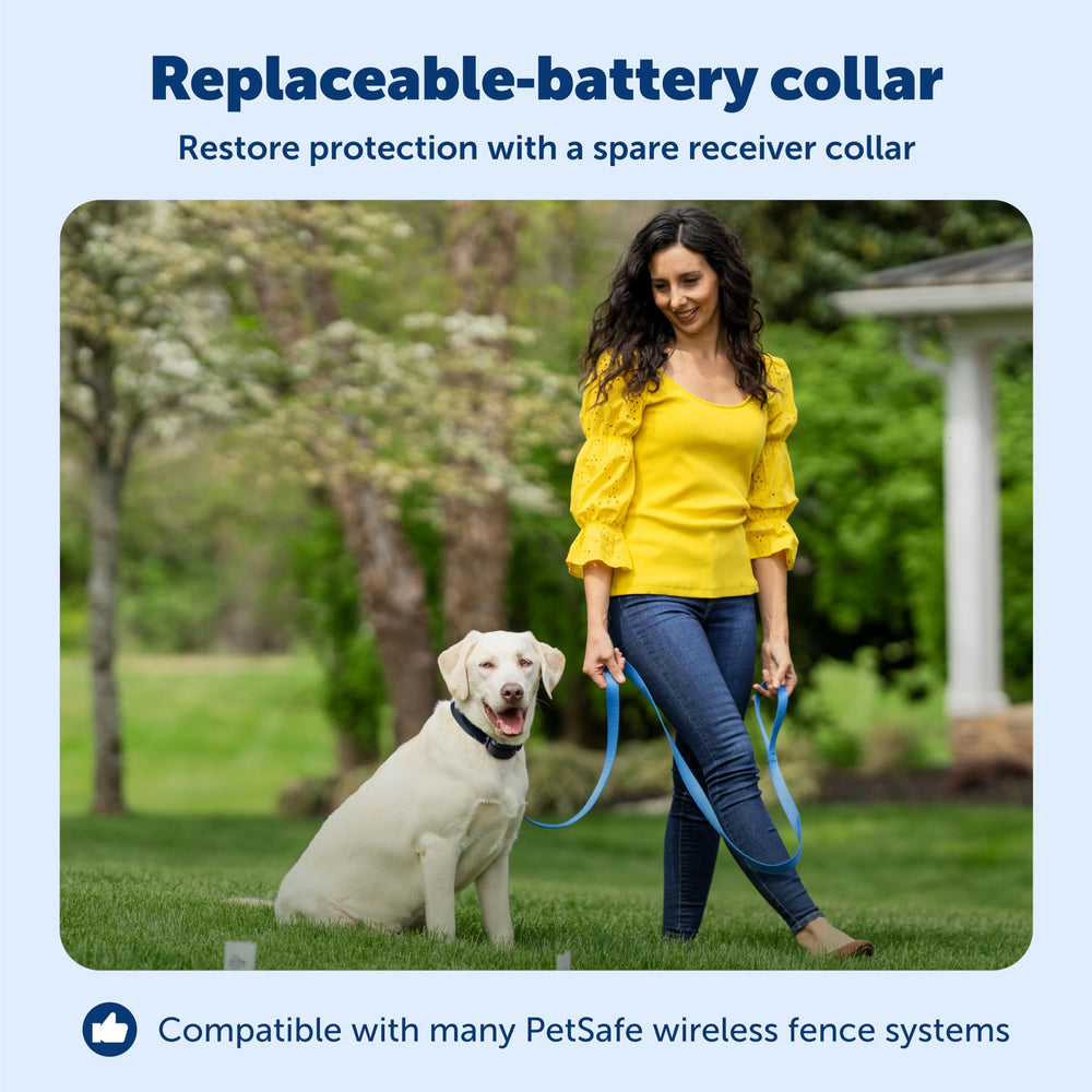 Transmisor de entrenamiento inalámbrico PetSafe Stay & Play para delimitar zonas seguras