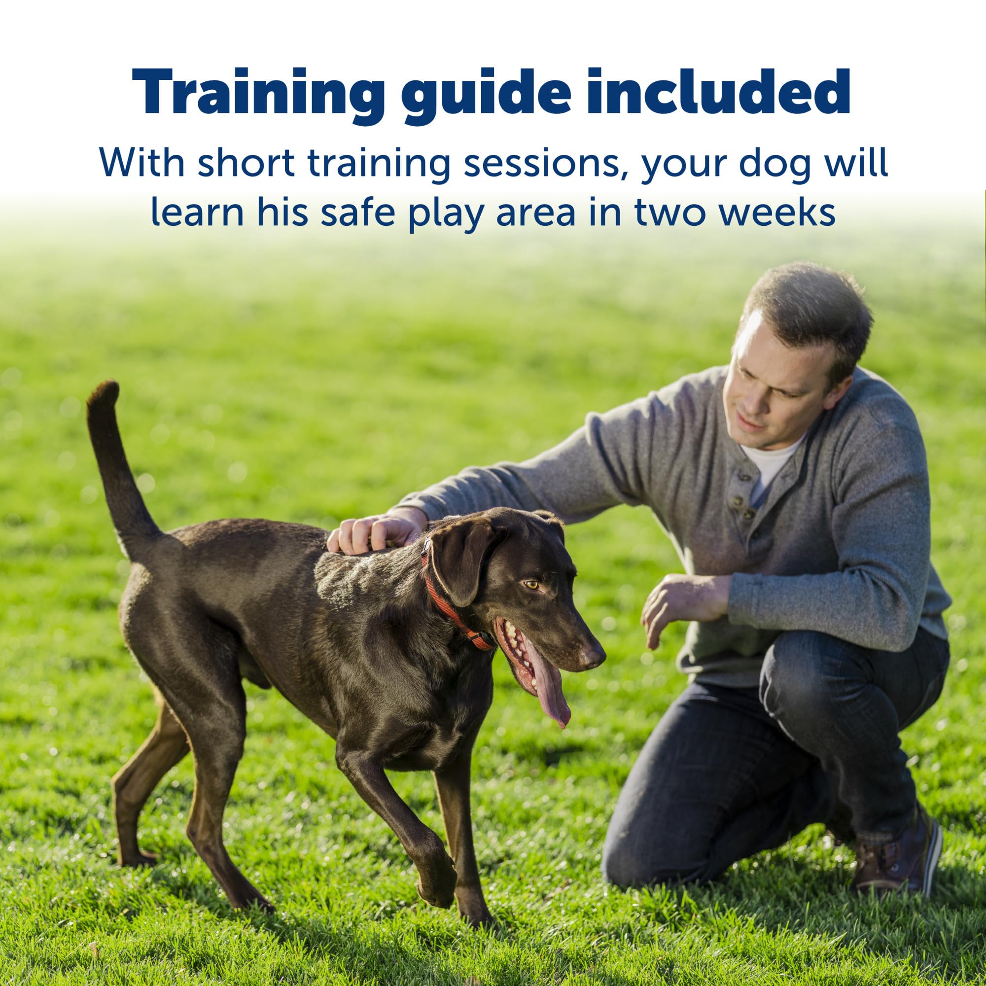 PetSafe Stay & Play: transmisor de entrenamiento y configuración rápida para zonas seguras.
