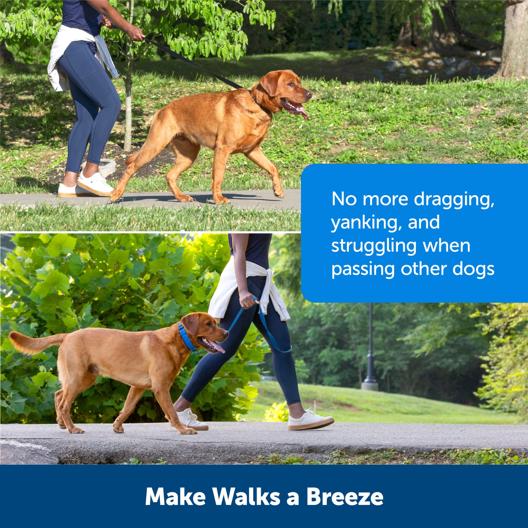 PetSafe Talla mediana para perros hasta 25 kg para control suave