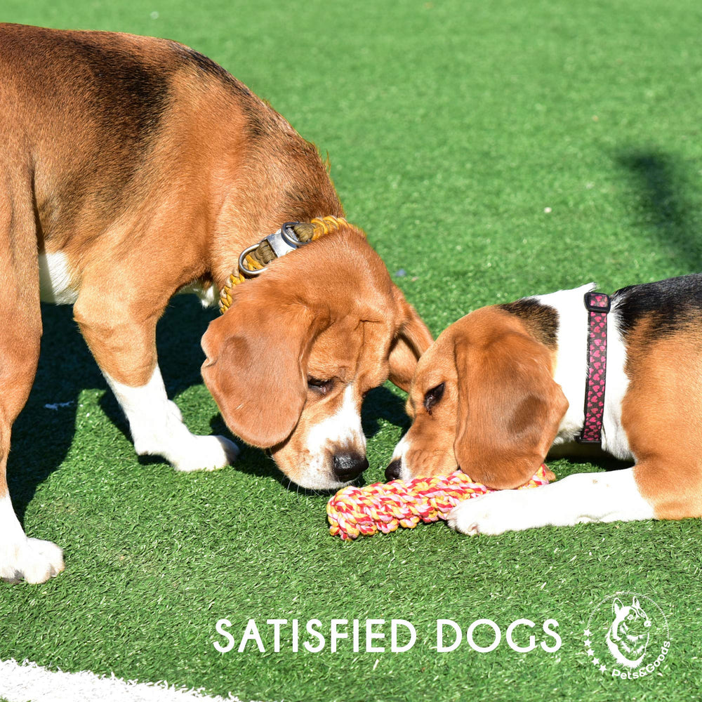 Pets&Goods: set-de-9-juguetes-cuerda, pack variado para entrenamiento y entretenimiento.