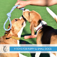 Pets&Goods: set-nueve-juguetes-cuerda, variedad para tirar, masticar y jugar.