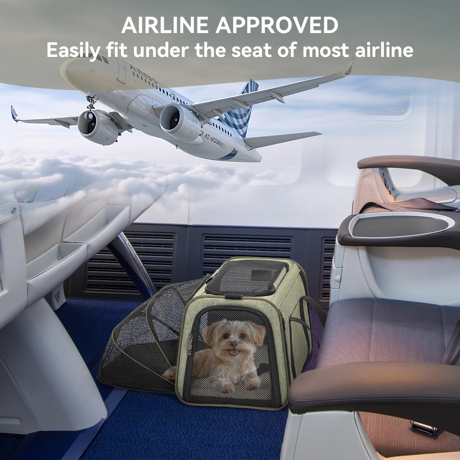 Transportín Petsfit apto para aerolíneas según tamaño.