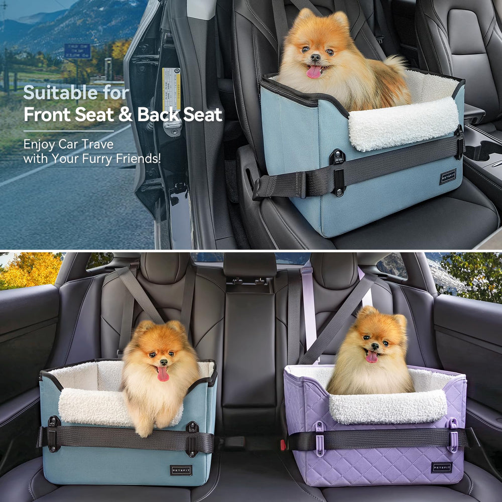 PETSFIT: vista elevada de dos niveles para perros pequeños, mejora la visibilidad y calma.