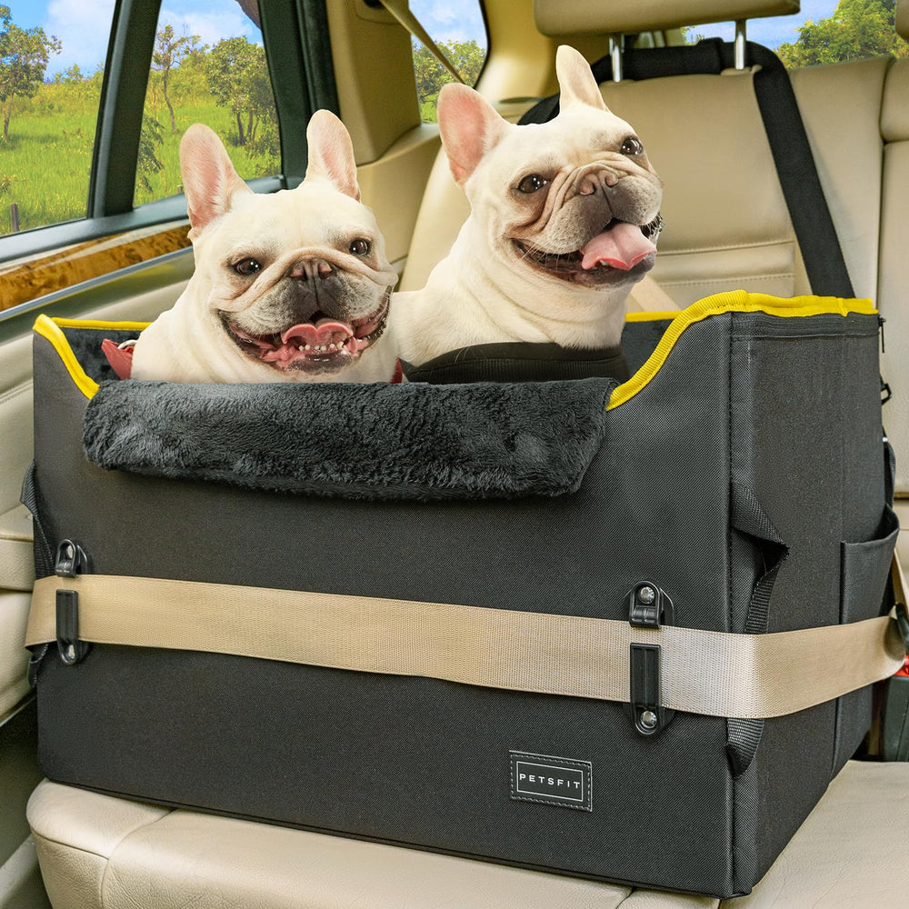 Petsfit asiento elevador para perro en coche, enfocado en comodidad para perros medianos.
