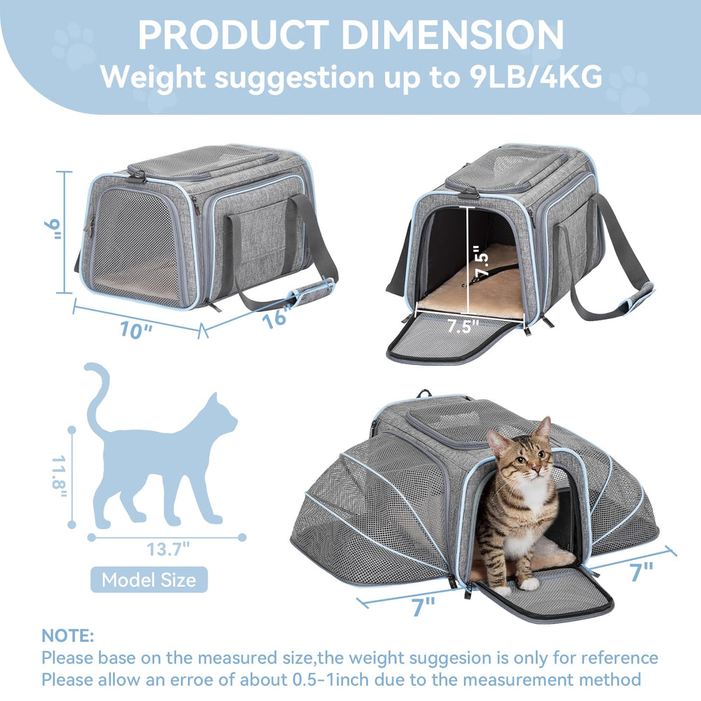 Petsfit base de PP estable para mayor seguridad durante el transporte