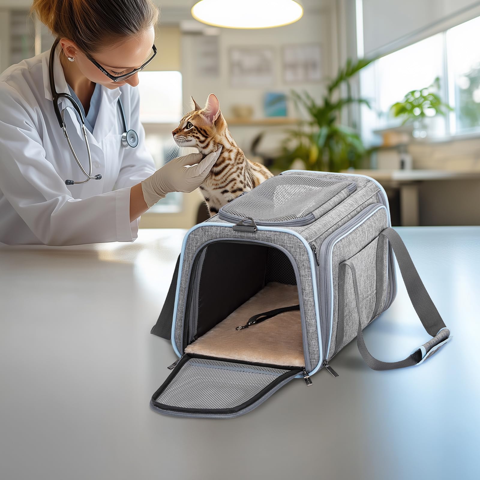 Petsfit diseño suave y lavable, apto para gatos y perros pequeños