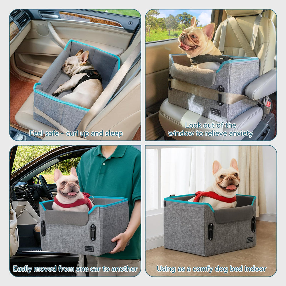 PETSFIT estructura estable que mantiene el asiento seguro en carretera.