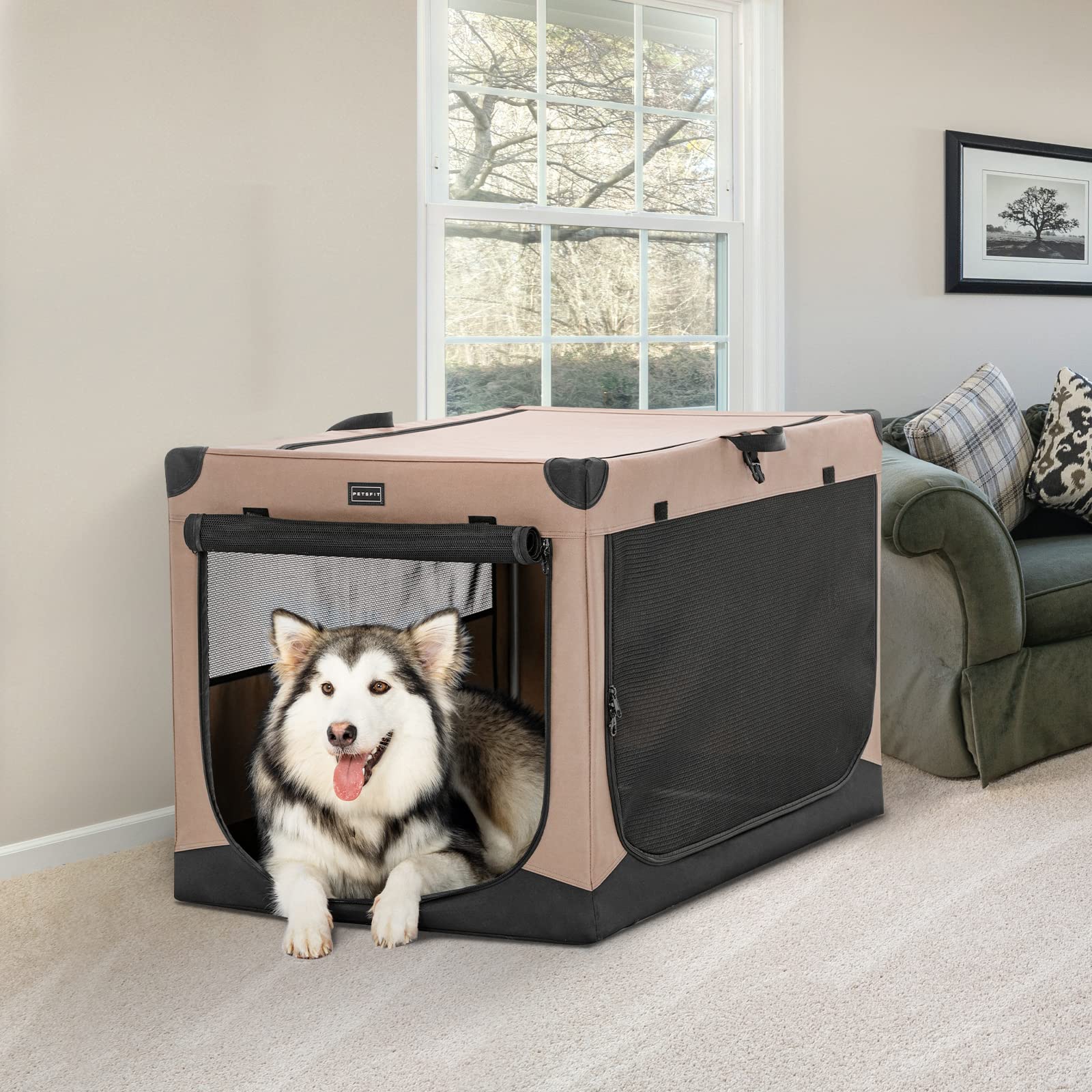 Petsfit jaula 40, entrada lateral y frontal para interacción y alimentación.