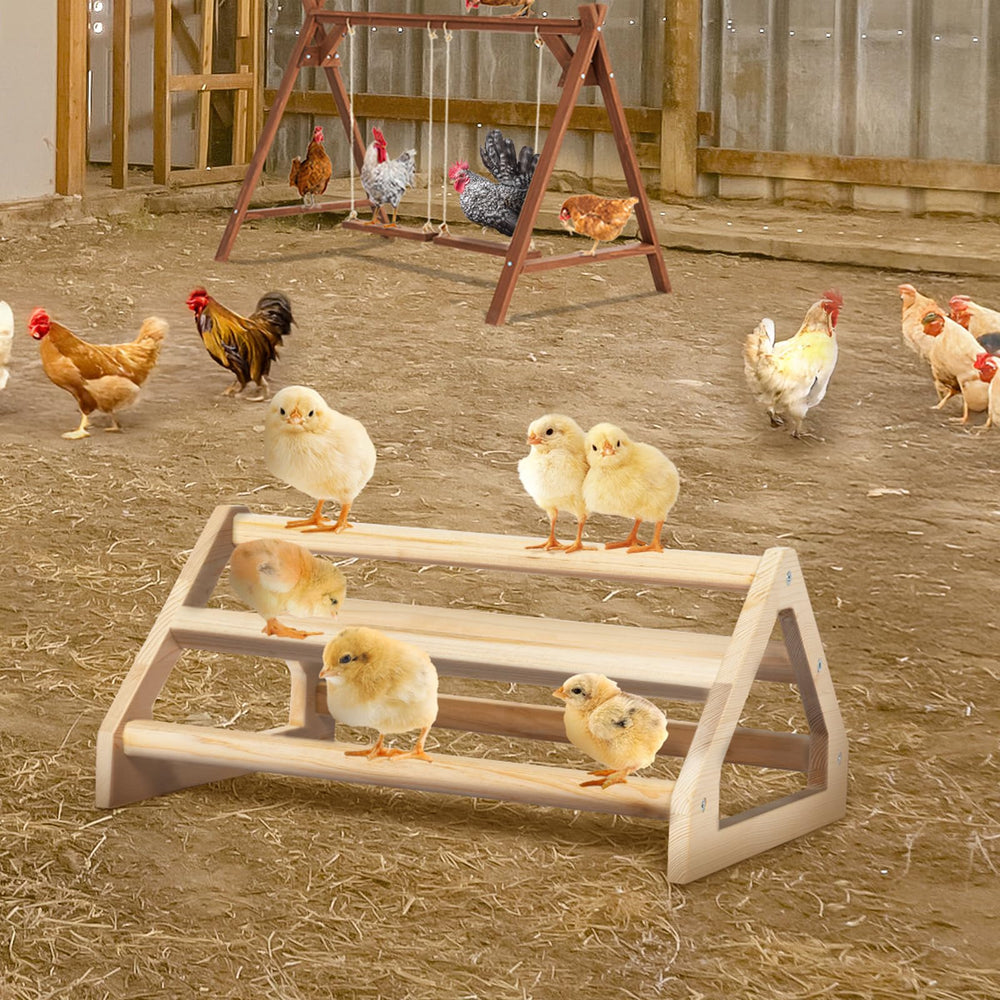 PETSFIT percha para pollitos: tamaño 5-6 para grupos grandes