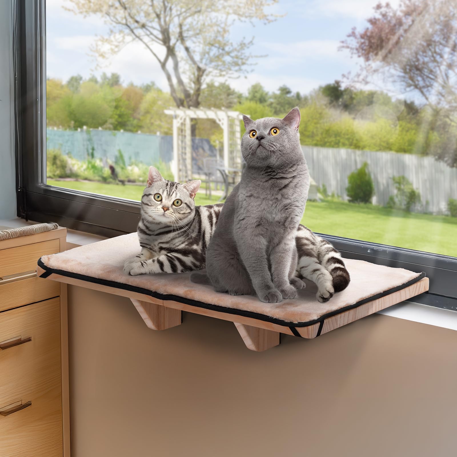 PETSFIT percha de ventana para gatos 2, vista frontal del soporte estable para dos felinos