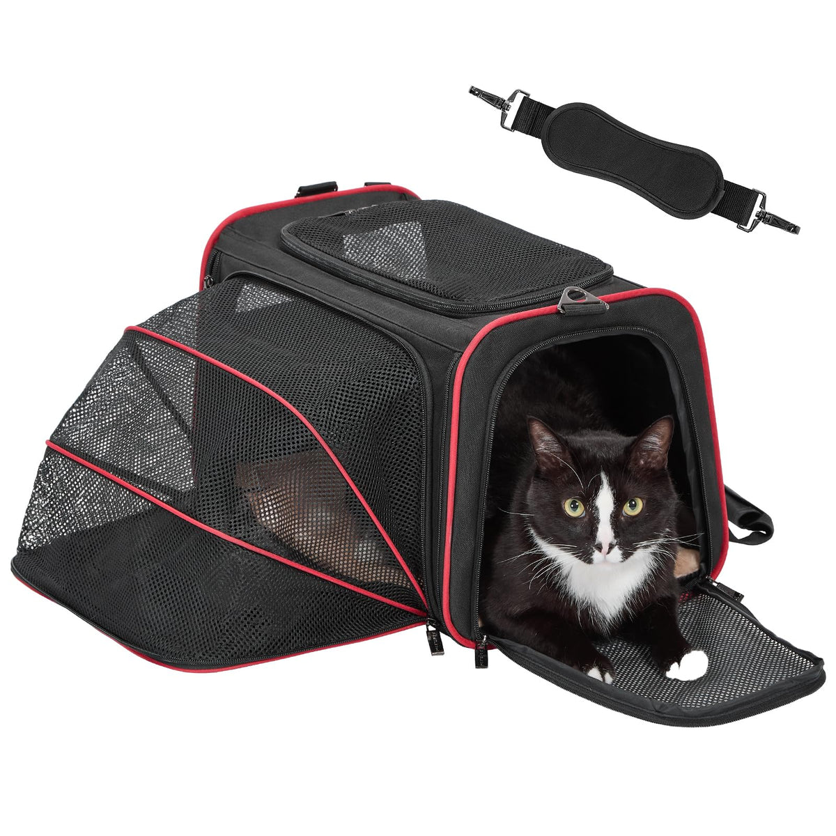 Petsfit portador expandible ofrece espacio extra para la mascota durante el viaje
