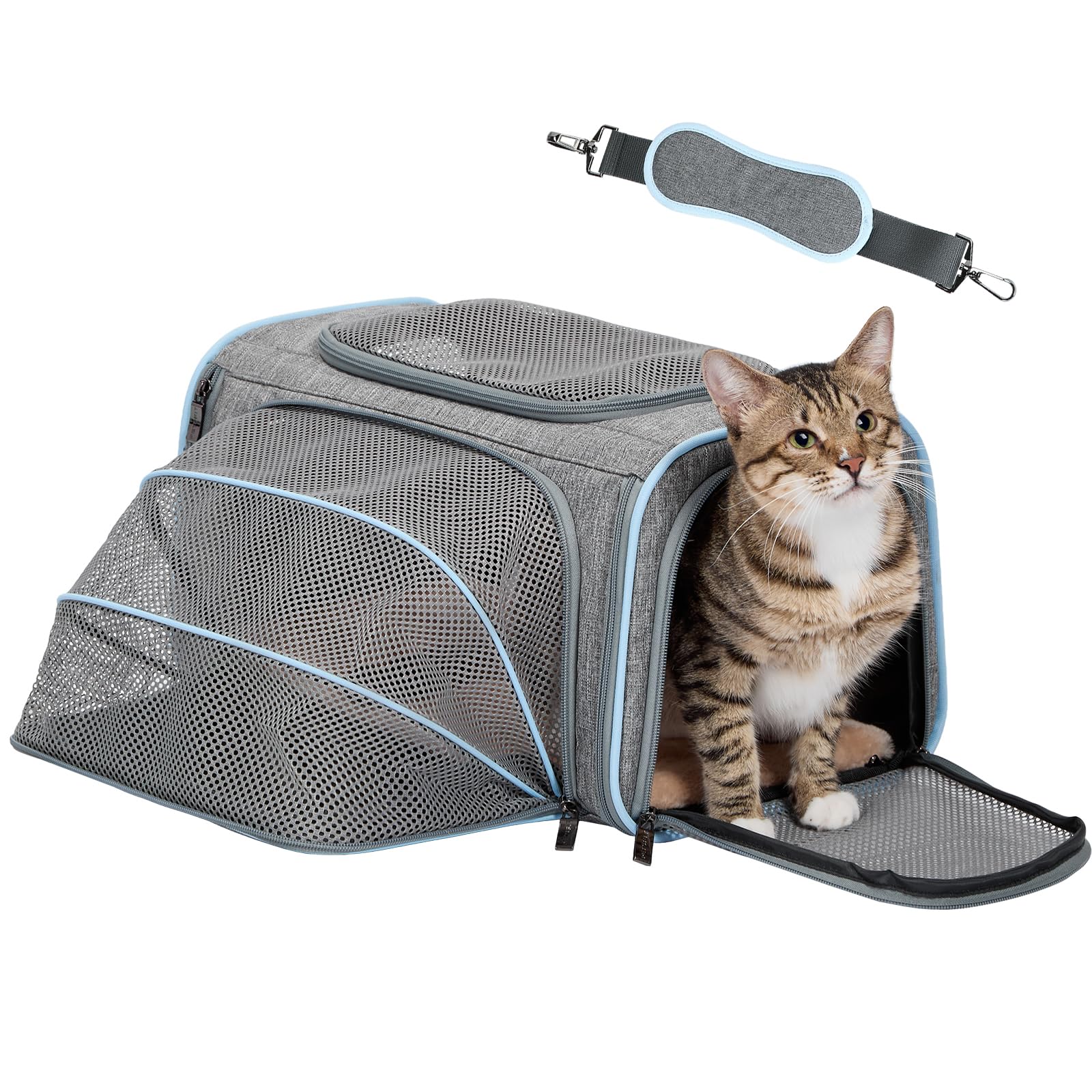 Portador Petsfit para gato pequeno expandible ofrece mayor espacio para dormir durante viajes