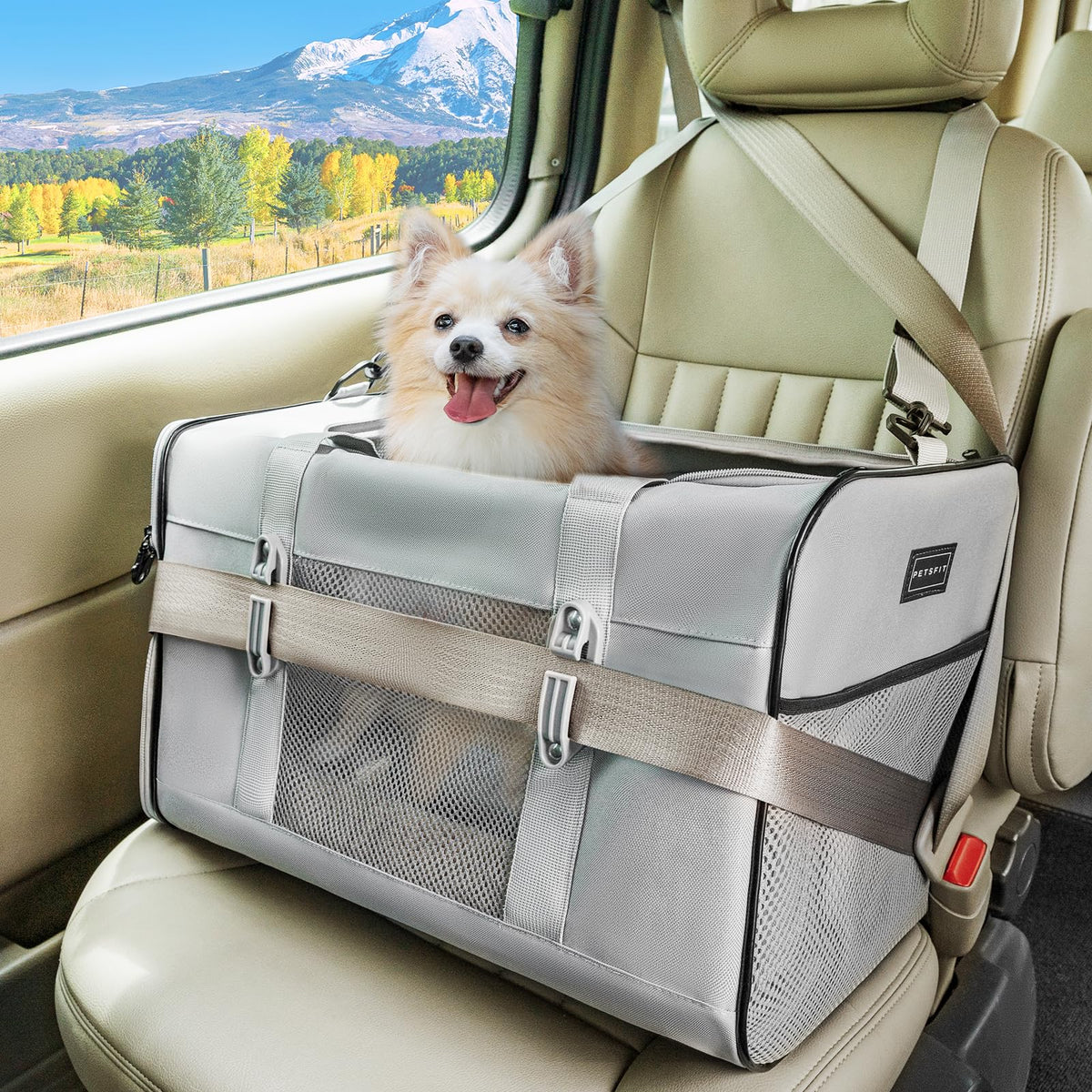 Transportín Petsfit para gato 19x12x12, ideal para viajar en coche