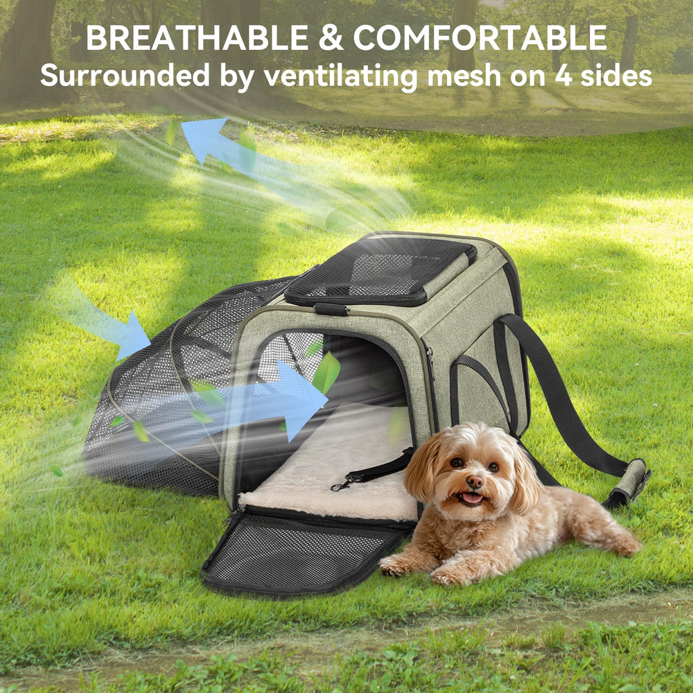 Petsfit para viajar en avión y guardar bajo el asiento.