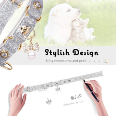 Collar PetsHome para perro pequeño con ajuste seguro y cómodo.