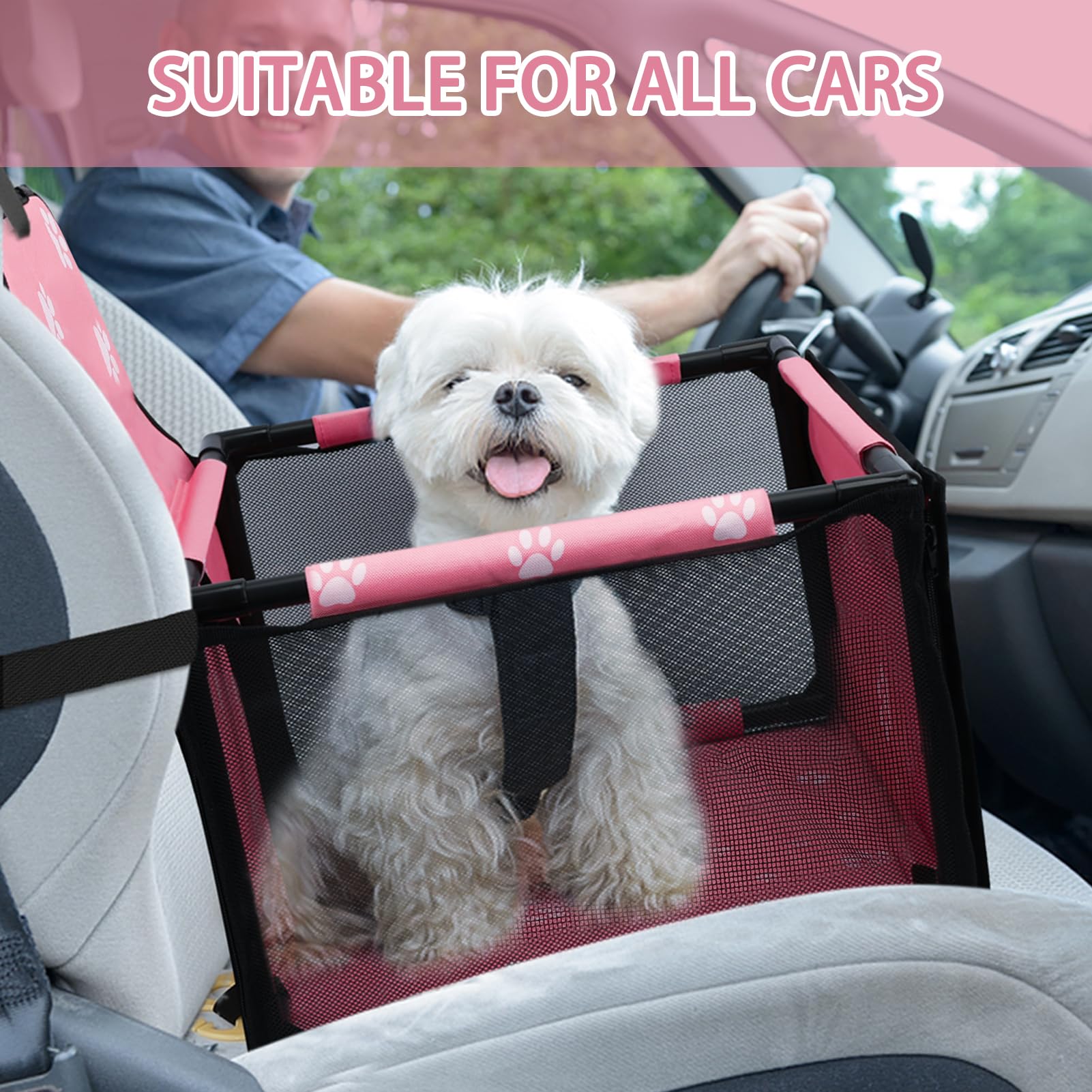 PetsHome: dimensiones 40x40x27,5 cm para perros pequeños y medianos.