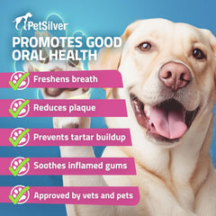 Aplicación en perro con PetSilver para higiene bucal