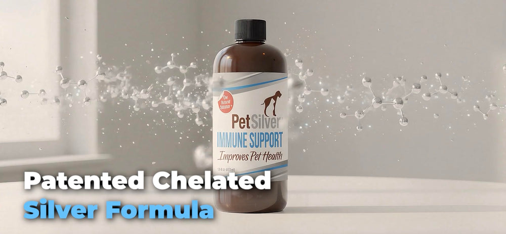 PetSilver Immune Support se añade al agua para uso diario.