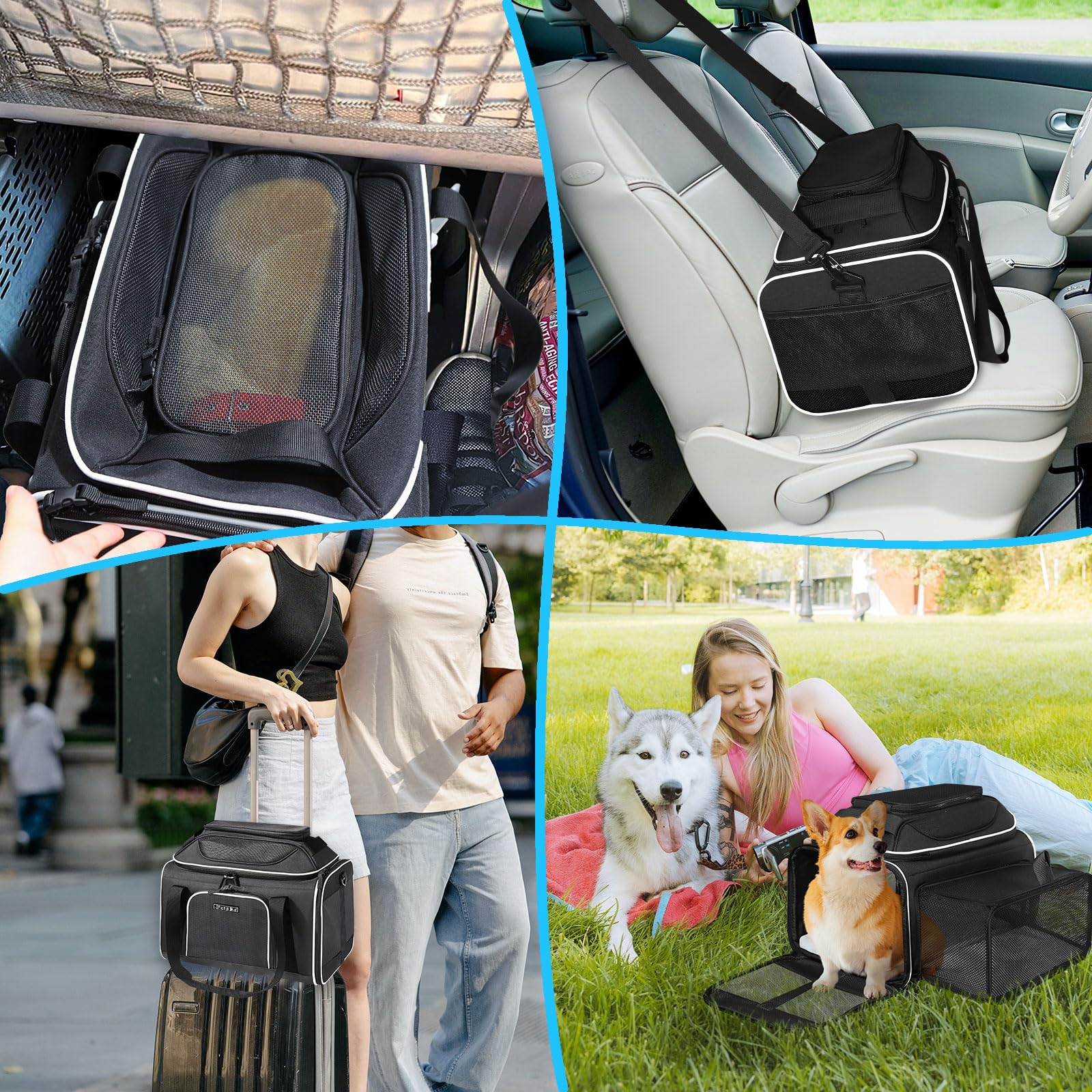 Petskd transportín: garantía de 12 meses y servicio rápido de Petskd.