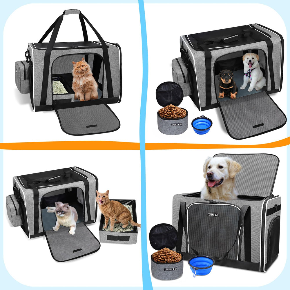 Accesorios de viaje Petskd: cuenco plegable para bebida y comodidad.