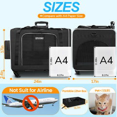 Petskd transportín para gatos con diseño plegable para guardado.