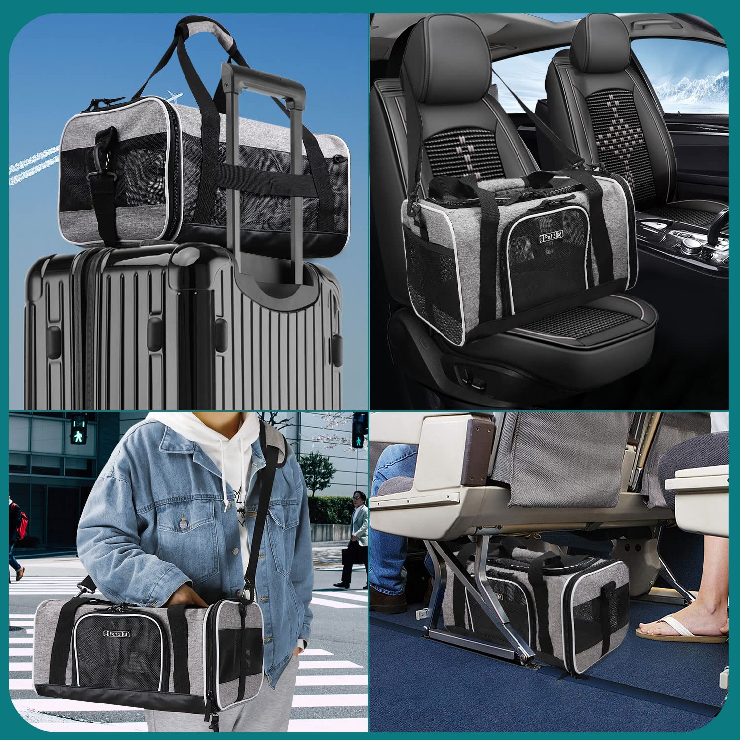 Petskd transportín Alaska garantía de 12 meses para tranquilidad.